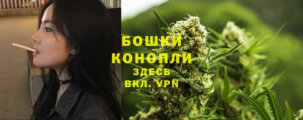 PSILOCYBIN Балахна