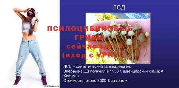 ПСИЛОЦИБИНОВЫЕ ГРИБЫ Баксан