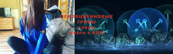 ПСИЛОЦИБИНОВЫЕ ГРИБЫ Баксан