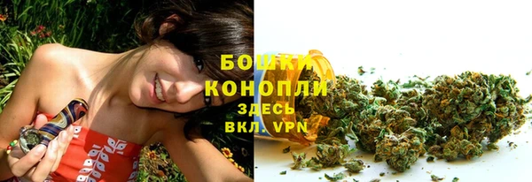 ПСИЛОЦИБИНОВЫЕ ГРИБЫ Баксан
