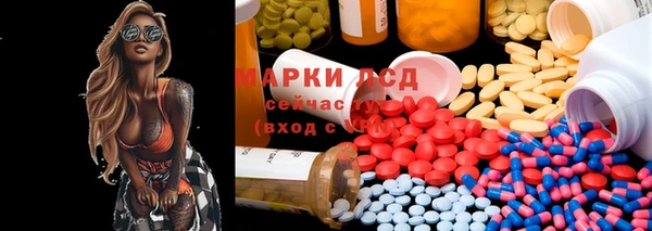 ПСИЛОЦИБИНОВЫЕ ГРИБЫ Баксан